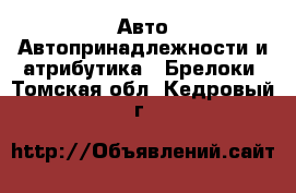 Авто Автопринадлежности и атрибутика - Брелоки. Томская обл.,Кедровый г.